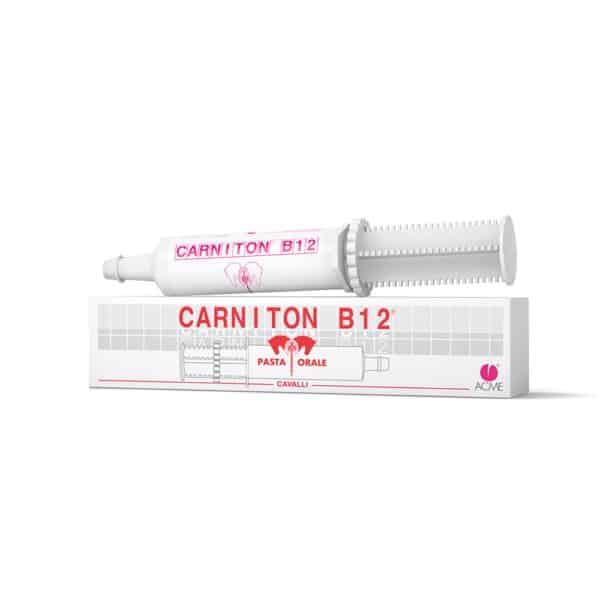 Combination of vitamins and amino acid to support the high performance athlete