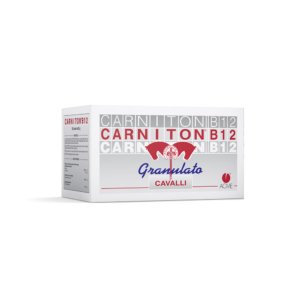 Carniton-B12 100g/ 25g 12 Combination of vitamins and amino acid to support the high performance athlete