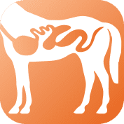 ArkEquineCategoryIcon Digestion