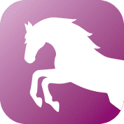 ArkEquineCategoryIcon Mobility