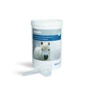 Nutritional support for EMS and Laminitic horses and ponies