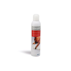 Foam cream for the care and regeneration of damaged or irritated skin, particularly in cases of pastern dermatitis or mud rash