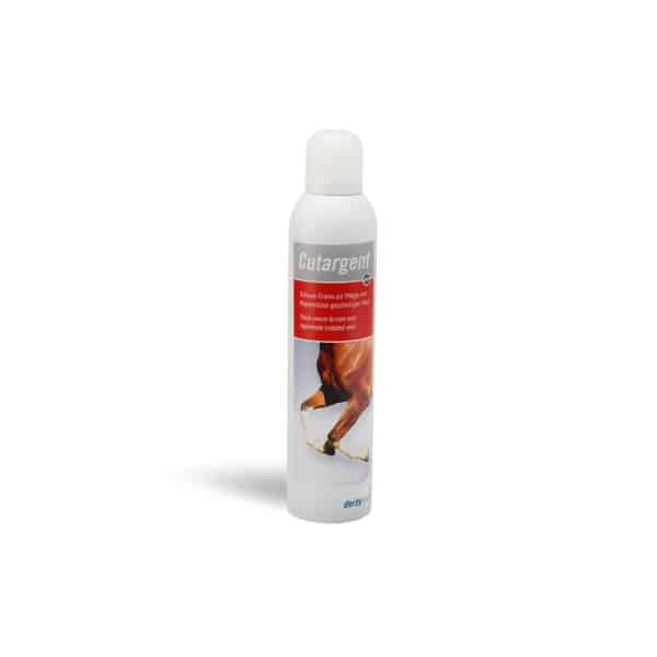 Foam cream for the care and regeneration of damaged or irritated skin, particularly in cases of pastern dermatitis or mud rash