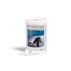 Protein concentrate to support muscle growth and development