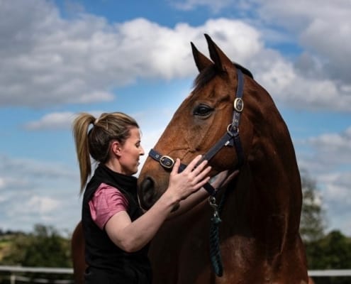 From Field to Fit - The 7 Point Checklist 10 Rebecca Flynn Equine Musculoskeletal Therapy + Rehab