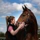 Rebecca Flynn Equine Musculoskeletal Therapy + Rehab