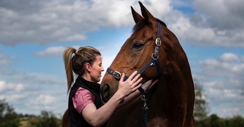 Rebecca Flynn Equine Musculoskeletal Therapy + Rehab