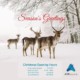 Seasons Greetings 2021 2 ARKequine
