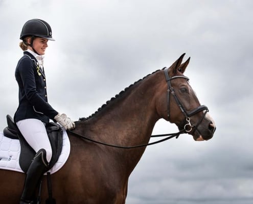 Equine Respiratory System Part 2