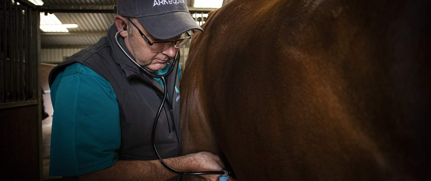 Equine Respiratory Health Part III: Equine Asthma 1 Vet_ARKequine_EquineAsthma