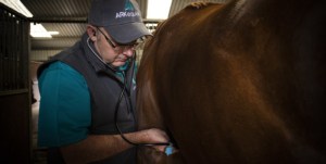 Vet_ARKequine_EquineAsthma