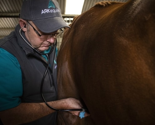Vet_ARKequine_EquineAsthma