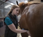 Vet_ARKequine_EquineHealth_EquineAsthma