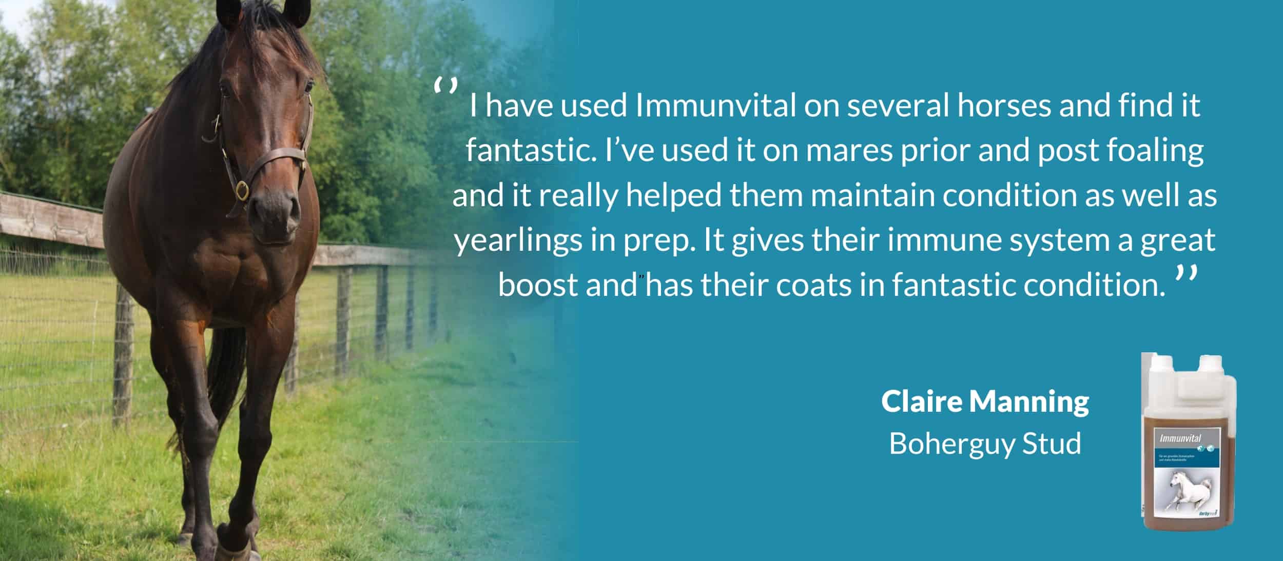 Immunvital 500ml 3 Testimonial layout.for website Immunvital