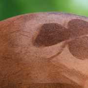 shamrock wide lowres
