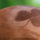 shamrock wide lowres