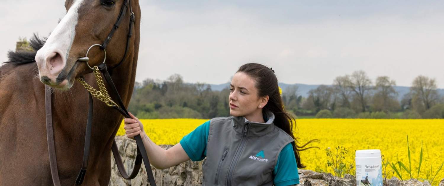 Not Everything that Glitters is Gold 4 Rapeseed pollen and horses