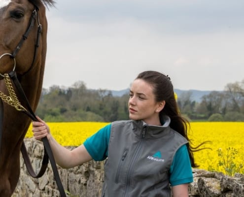 Rapeseed pollen and horses