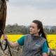 Not Everything that Glitters is Gold 5 Rapeseed pollen and horses
