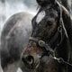 Unlocking the Power of Electrolytes 4 isoton horsesweeat 1