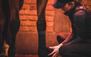 Hoof image