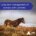 Long-term management of laminitis