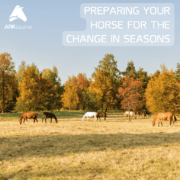 Screenshot 2024-10-03 122501 preparing for seasonal changes