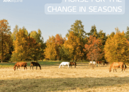 preparing for seasonal changes