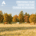 preparing for seasonal changes