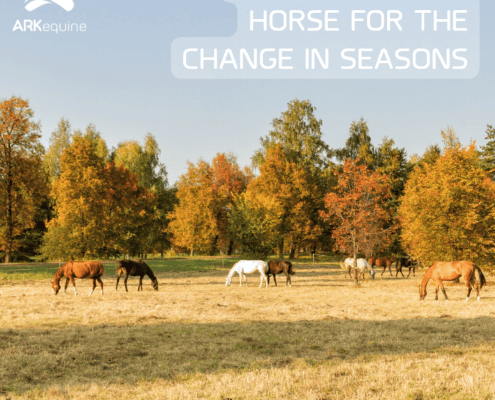 preparing for seasonal changes