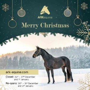 ark equine_Christmas_2024 ark equine Christmas 2024