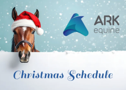 christmas schedule