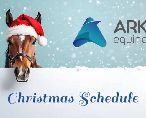 christmas schedule