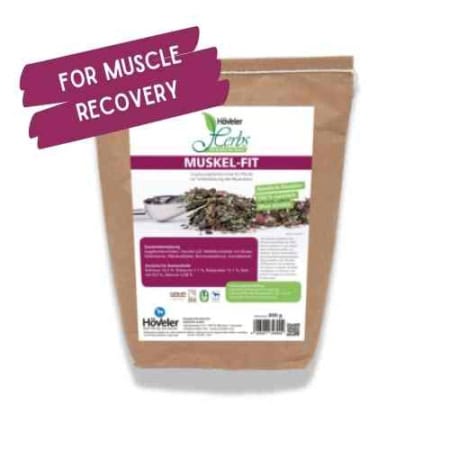 Muskel-Fit 4 3
