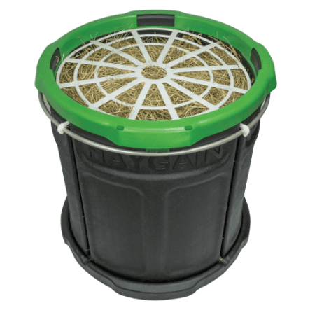 Haygain Forager DIGITAL LOW LOW