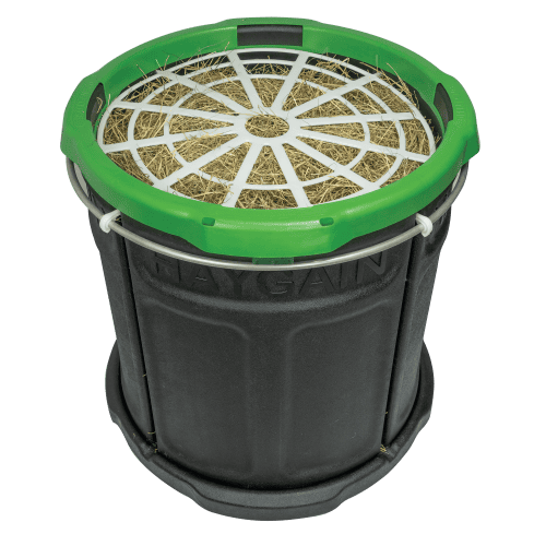 Haygain Forager DIGITAL LOW LOW