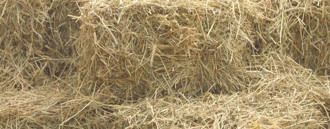 Is your hay clean enough? 1 4