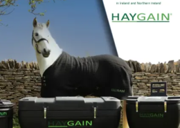 ARKequine appointed as Official Distributor for Haygain in Ireland and Northern Ireland 2 Haygain 425 x 500 px copy
