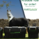 ARKequine appointed as Official Distributor for Haygain in Ireland and Northern Ireland 2 Haygain 425 x 500 px copy