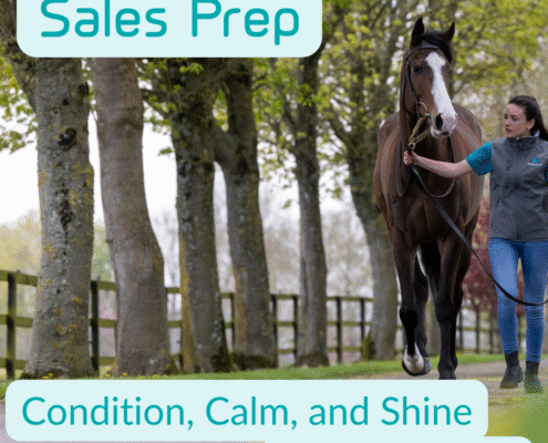 The Science of Sales prep