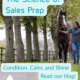The Science of Sales Prep: Condition, Calm and Shine. 3 The Science of Sales prep