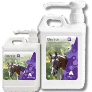 Elevate 2 Elevate Packshot