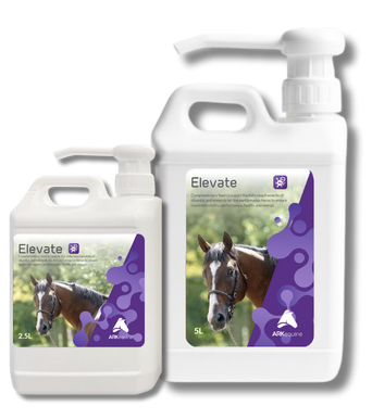 Elevate Packshot